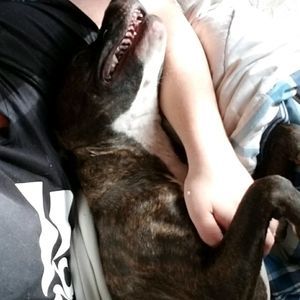 Meet your Posher, Brandon